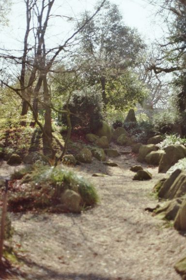 Japanse Tuin in de Hortus Botanicus Leiden