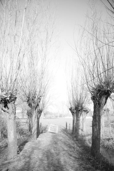 Park Noordhoekse Wiel (4a)