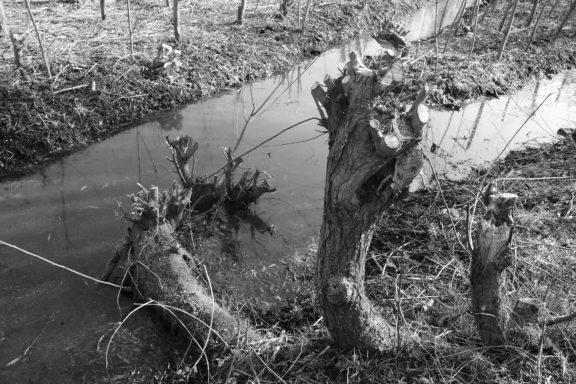 Park Noordhoekse Wiel (2a)