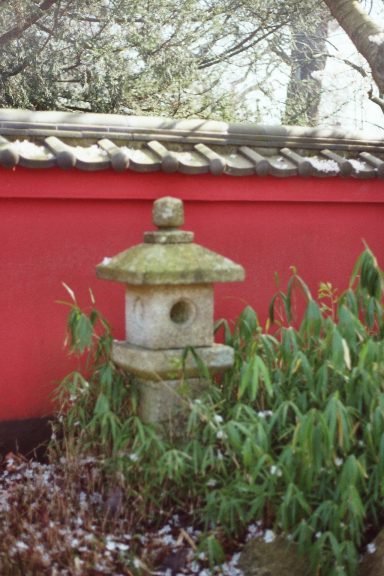 Japanse Tuin in de Hortus Botanicus Leiden