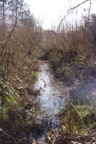 Park Noordhoekse Wiel (1b)