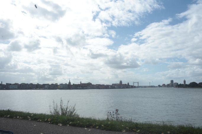 Meyer-Optik Görlitz Orestegon 29mm f1.8  zebra