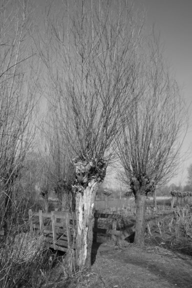 Park Noordhoekse Wiel (3a)