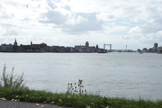 Pentacon Auto 50mm f1.8 zebra