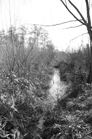 Park Noordhoekse Wiel (1a)