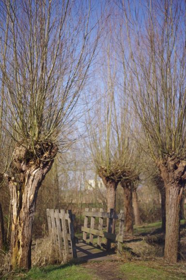 Park Noordhoekse Wiel (3b)