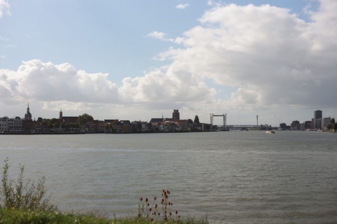 Yashica Yashinon-DS 50mm f1.7